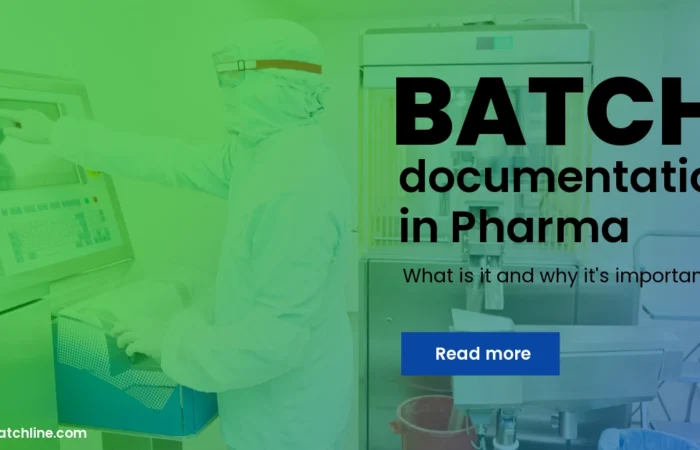 BatchLine batch documentation